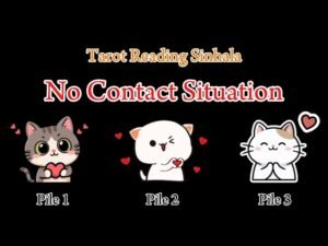 Leia mais sobre o artigo No Contact Situation ♥️✨ කතා නොකරට එයා හිතන දේවල් #tarot #srilanka #nocontact