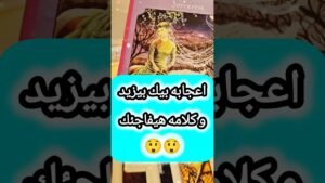 Leia mais sobre o artigo رسالة إعجاب من شخص يهمك 😲💌 #shorts #shortvideo #tarot #motivation #viral #love