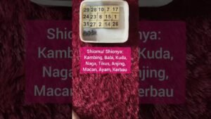 Leia mais sobre o artigo Perasaan dia kepadamu 👩‍❤️‍👨 #tarot #tarotreading #gemintangtarot