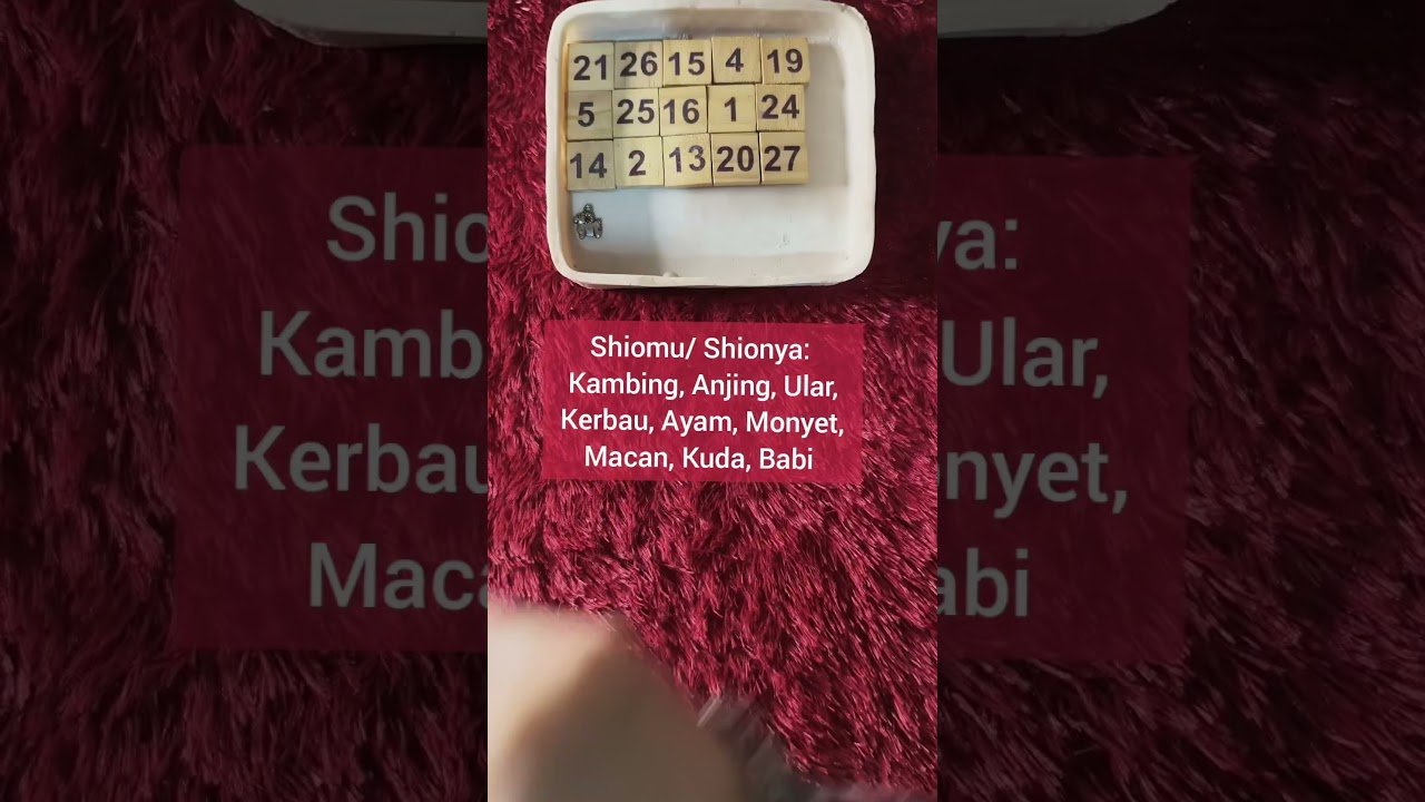 No momento, você está visualizando Pikiran dia tentang hubungan ini 👫 #tarot #tarotreading #gemintangtarot