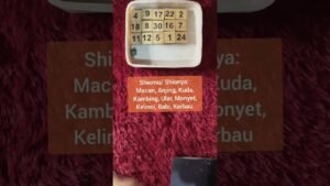 Leia mais sobre o artigo Pikiran dia tentangmu 💭👩‍❤️‍👨 #tarot #tarotreading #gemintangtarot