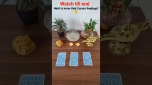 Leia mais sobre o artigo Question- What are their current feelings about you? ❤️‍🔥#tarot #lovereading #tarotreading #asmr