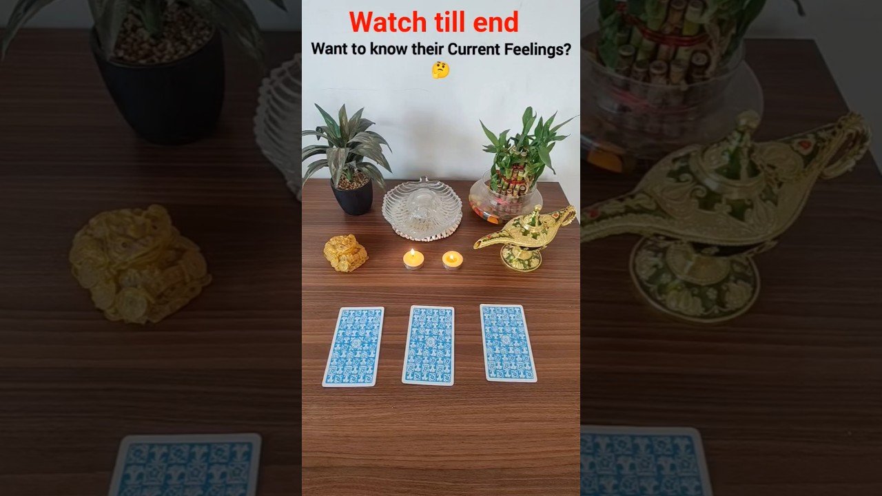 No momento, você está visualizando Question- What are their current feelings about you? ❤️🔥#tarot #lovereading #tarotreading #asmr