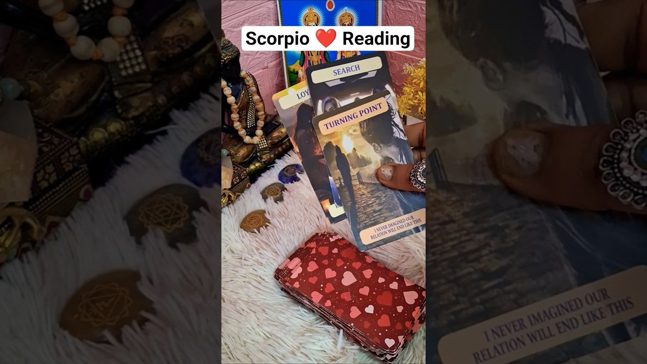 No momento, você está visualizando 💞Scorpio love Reading #shorts #tarot #love #scorpio #nocontact