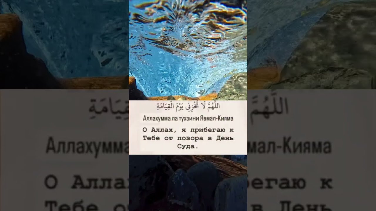 No momento, você está visualizando SubhanAllahИстигфор​ #истигфор​##tarot​ #aforizim​#mahzen​#manolisozlar​##hikmatso​’z #maruza​#itzy​