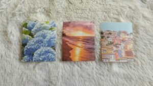 Leia mais sobre o artigo Tarot | Chọn tụ bài: Trong năm nay, bạn sẽ có sự nghiệp thăng hoa💐 hay tình yêu rực rỡ ❤️