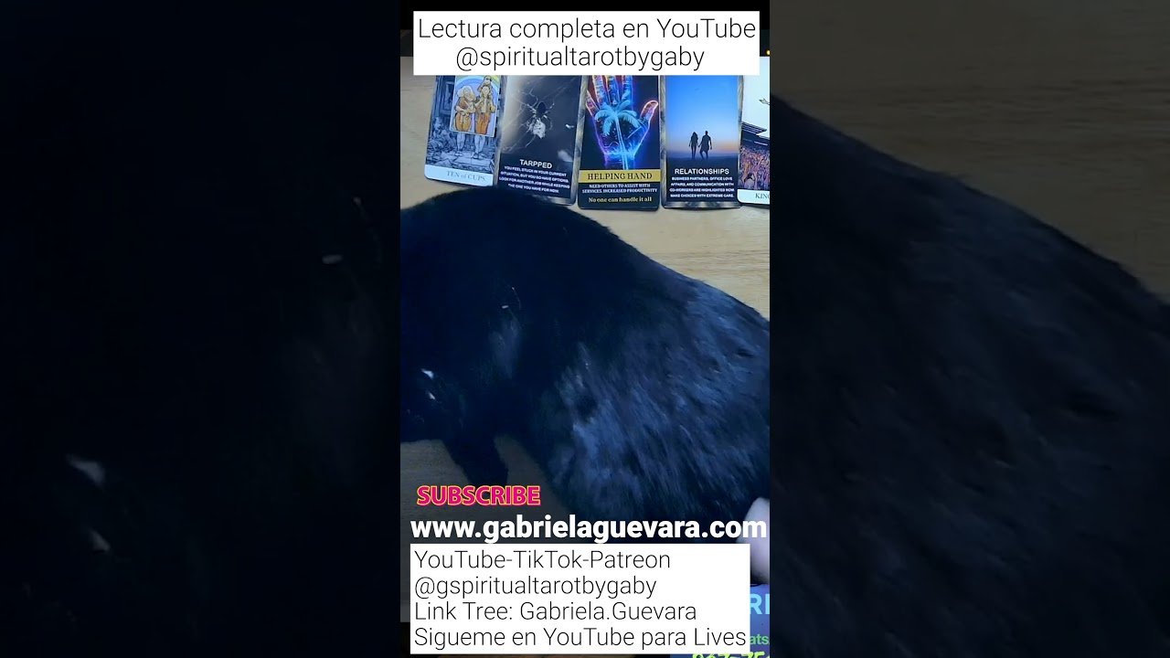 No momento, você está visualizando Tarot.Tu destino esta apunto de cambiar y muchos te buscaran, usa tu intuicion. EXTENDIDA #1051