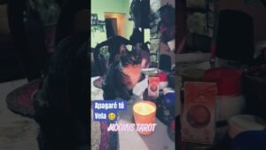 Leia mais sobre o artigo TIRIRIRI TIRIRIRI😸PODER GATUNA 💪 #cat #gato #tarot