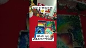 Leia mais sobre o artigo wait or move on🧐