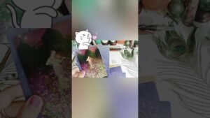 Leia mais sobre o artigo what’s Coming for you#tarot #sambhavi