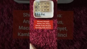 Leia mais sobre o artigo Yang selalu Memikirkanmu 💭👩‍❤️‍👨 #tarot #tarotreading #gemintangtarot