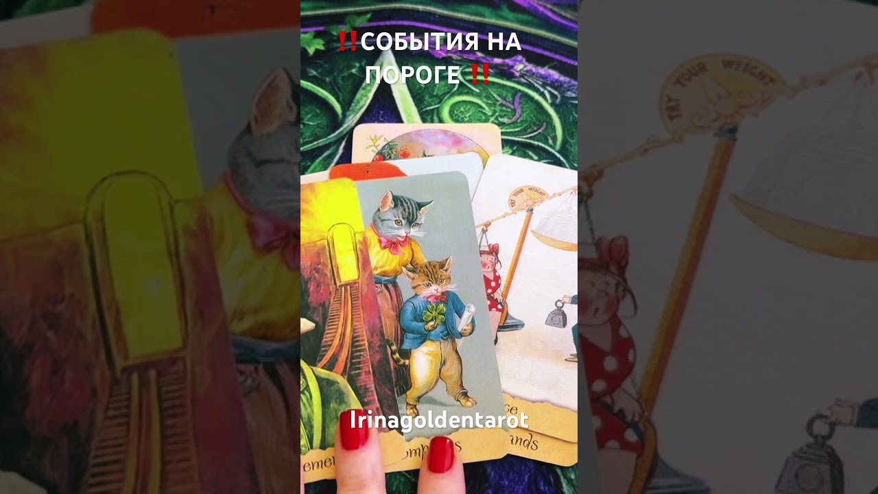 No momento, você está visualizando ‼️СОБЫТИЯ НА ПОРОГЕ ‼️ #таро #таро #tarot #таролог