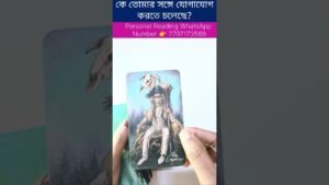 Leia mais sobre o artigo কে তোমার সঙ্গে যোগাযোগ করতে চলেছে? #currentfeelings #tarot #soulfamily1111 #reelschallenge