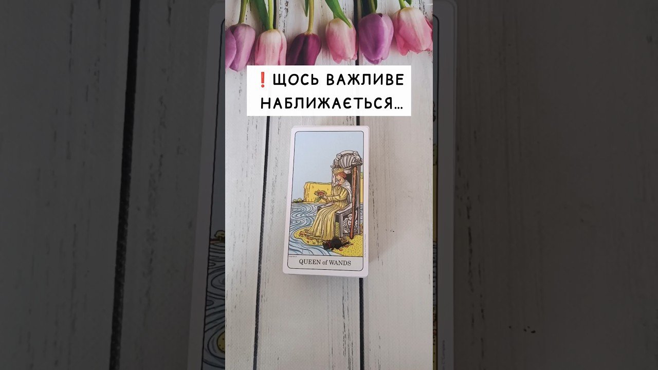 No momento, você está visualizando ❗️Щось важливе наближається… таро розклад #shorts  #tarot  #таро