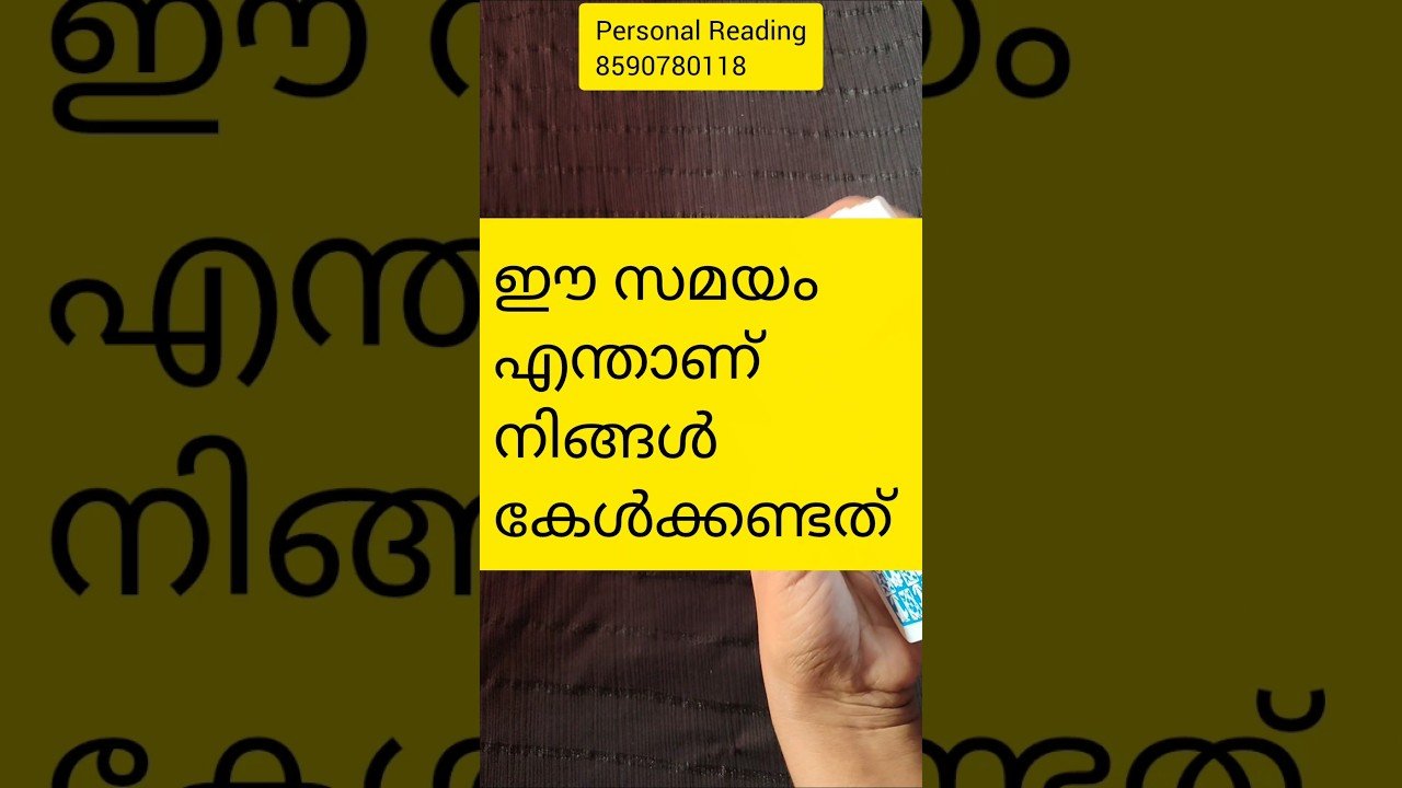 No momento, você está visualizando ഈ സമയം എന്താണ് നിങ്ങൾ കേൾക്കണ്ടത് 🙏#tarot #collectivereading #timelessreading #generalreading