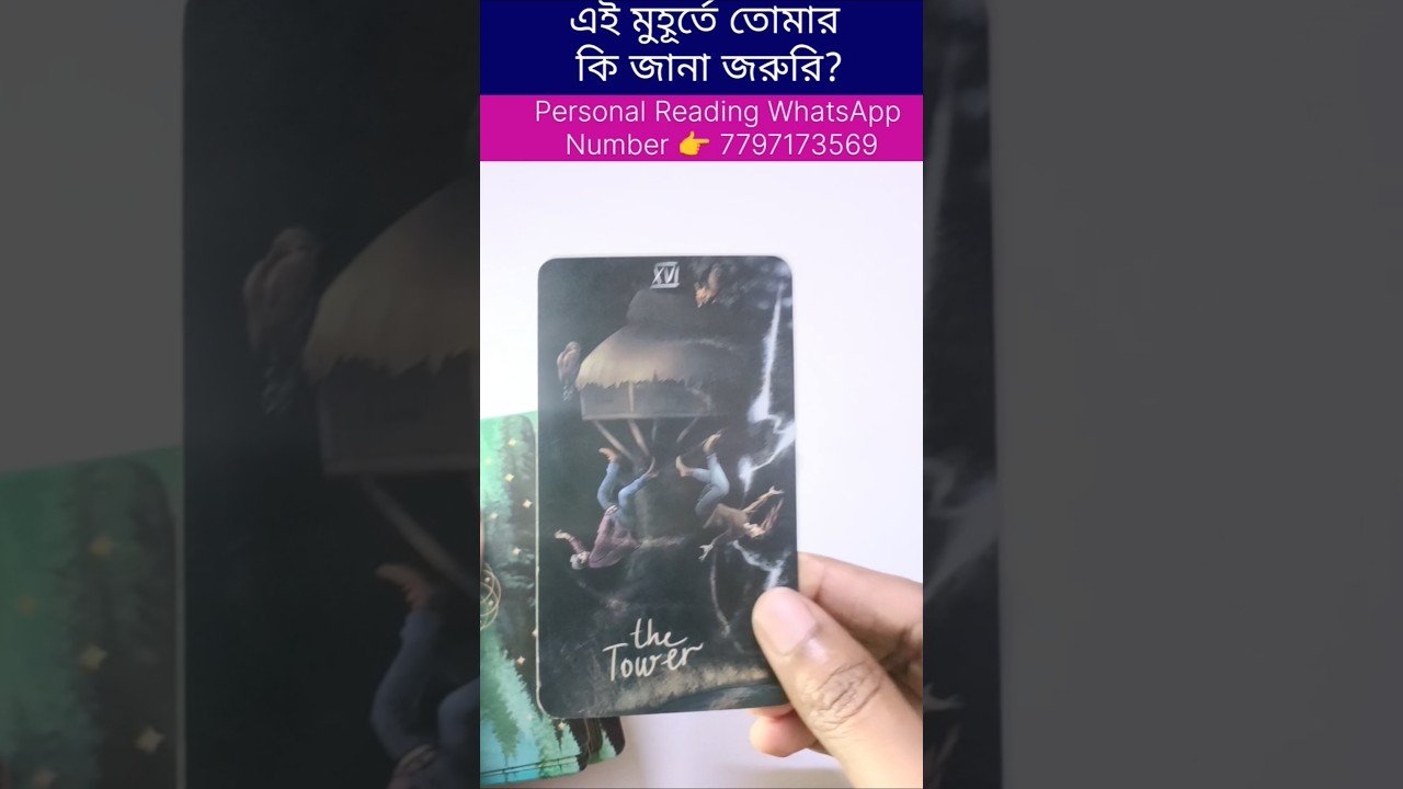 No momento, você está visualizando এই মুহূর্তে তোমার কি জানা জরুরি? #currentfeelings #tarot #bengalitarotreading #reels #astrology