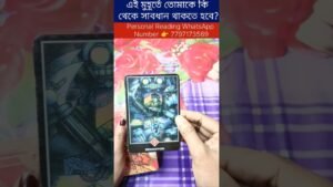 Leia mais sobre o artigo এই মুহূর্তে তোমাকে কি থেকে সাবধান থাকতে হবে? #currentfeelings #tarot #bengalitarotreading #reel