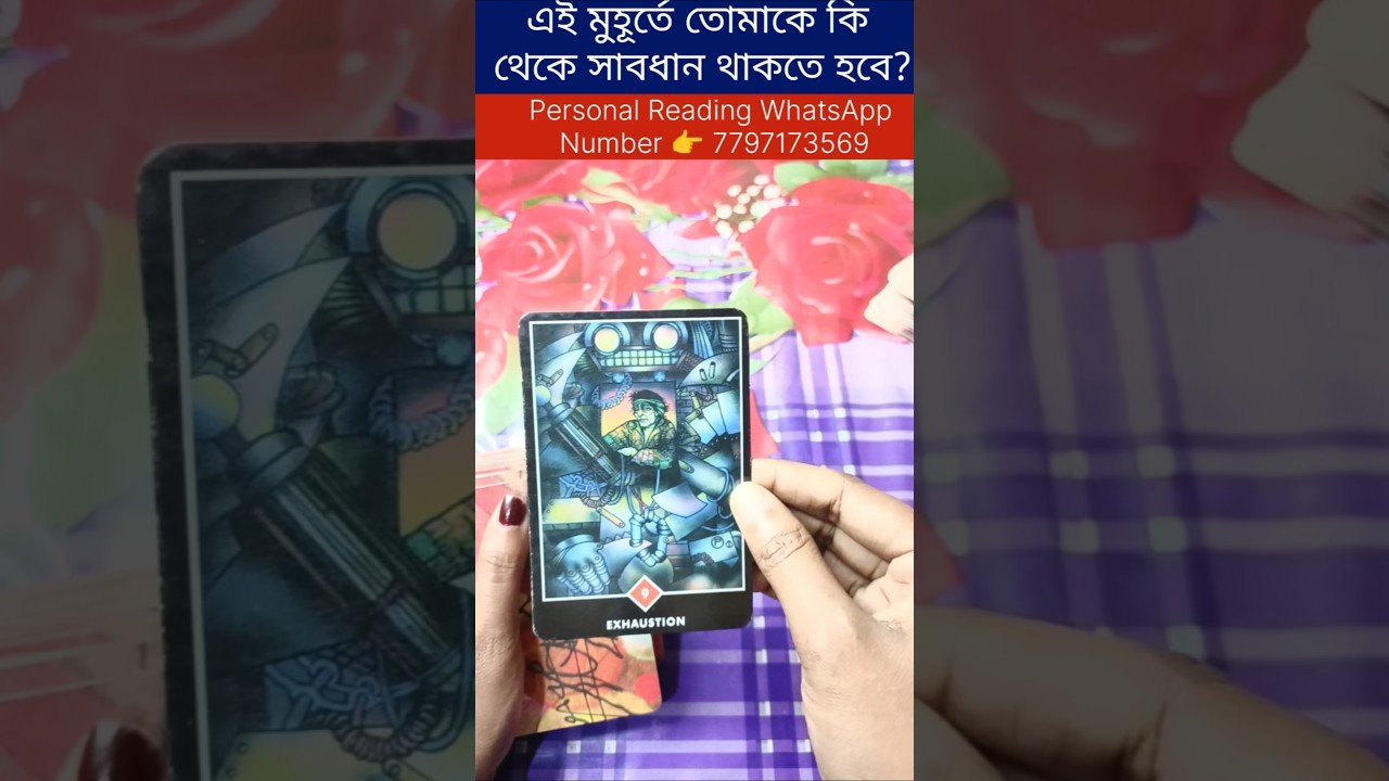 No momento, você está visualizando এই মুহূর্তে তোমাকে কি থেকে সাবধান থাকতে হবে? #currentfeelings #tarot #bengalitarotreading #reel