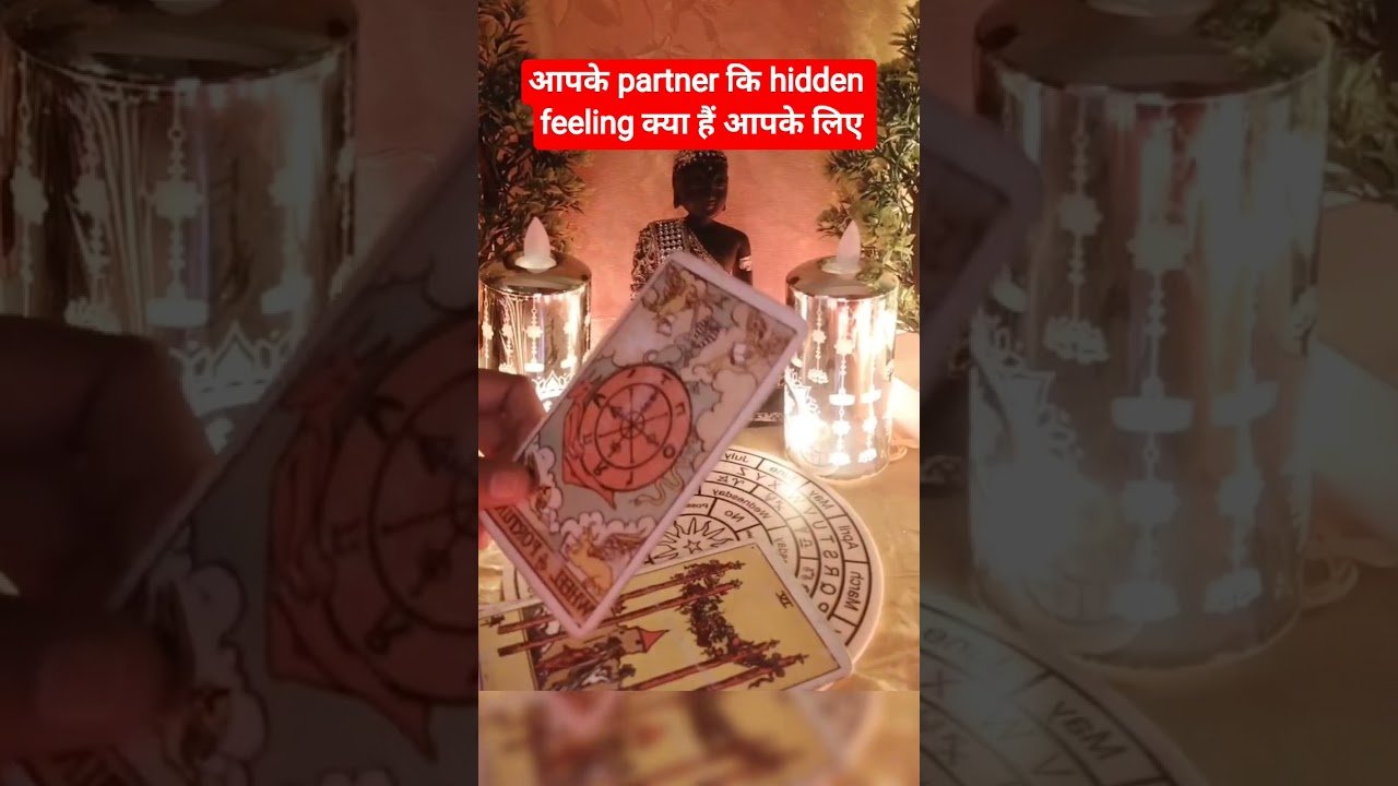No momento, você está visualizando आपके partner कि hidden feeling क्या हैं आपके लिए ♥️♥️ #tarot#hinditarotreading#love