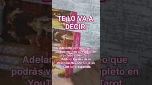 Leia mais sobre o artigo 👌 #tarotamornuevo #tarot #lovetarot #tarot #nuevo @NAYADESOLMEDIUM