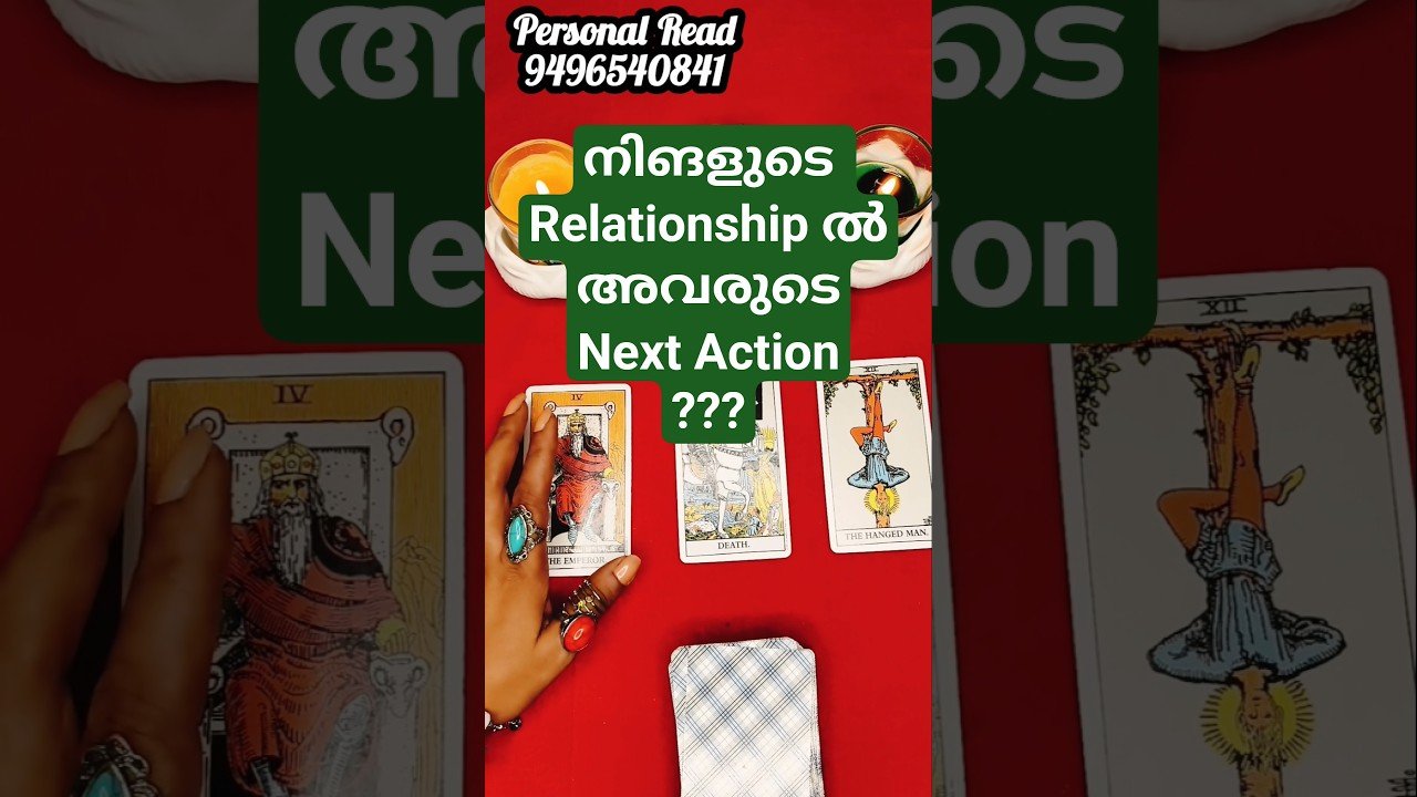 No momento, você está visualizando 😳🔥 Their Future Action EXPOSED! 🔮✨Love Tarot Reading 💔👑#malayalamtarot #shorts#astrology#tarot#1111