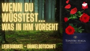 Leia mais sobre o artigo 🔥 WENN DU WÜSSTEST, was in ihm vorgeht…So viel Sorge & Stress wegen dir 💔