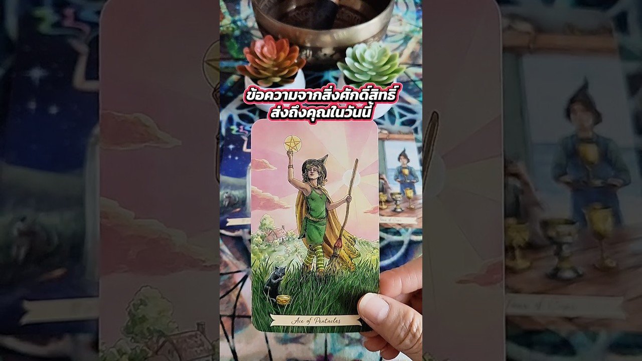 No momento, você está visualizando ข้อความจากสิ่งศักดิ์สิทธิ์ส่งถึงคุณในวันนี้ #ไพ่ยิปซี #tarot #tarotreading #ดูดวง #ไพ่ทาโรต์ #random