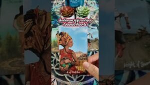Leia mais sobre o artigo สิ่งที่คุณควรรู้มากที่สุดในตอนนี้ คืออะไร #tarot #ไพ่ยิปซี #tarotreading #ดูดวง #ไพ่ทาโรต์ #random