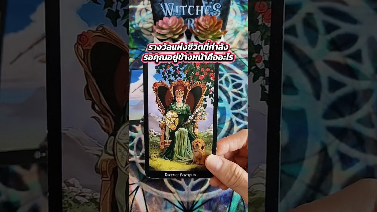 No momento, você está visualizando รางวัลแห่งชีวิตที่กำลังรอคุณอยู่ข้างหน้า #tarot #ไพ่ยิปซี #tarotreading #ดูดวง #ไพ่ทาโรต์ #random