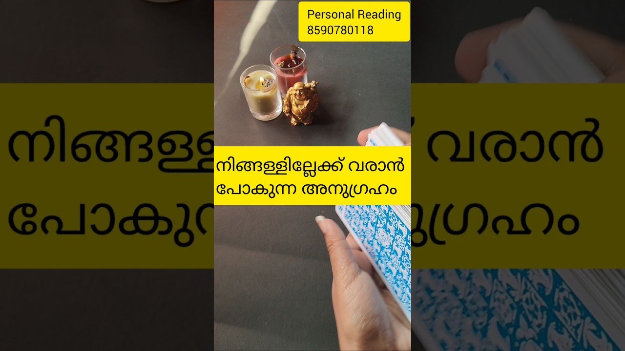 No momento, você está visualizando നിങ്ങള്ളില്ലേക്കി വരാൻ പോകുന്ന അനുഗ്രഹം 🙏#tarot #timelessreading #collectivereading #generalreading