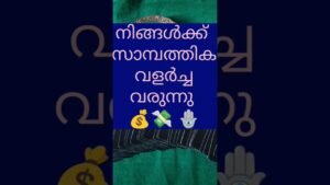 Leia mais sobre o artigo നിങ്ങൾ സമ്പൽ സമൃദ്ധിയിൽ എത്തിച്ചേരുന്നു ✨🧿💸#shorts #trending #tarot #youtubeshorts