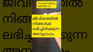 Leia mais sobre o artigo നിങ്ങൾക് അഭിച്ചിട്ടുള്ള അനുഗ്രഹം 🙏#tarot #tarotreading #timelessreading #collectivereading