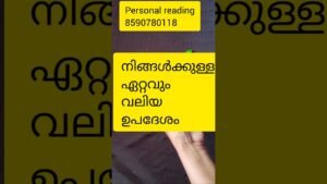 Leia mais sobre o artigo നിങ്ങൾക്കുള്ള ഏറ്റവും വലിയ ഉപദേശം🙏#tarot#collectivereading#generalreading#timelessreading#divination