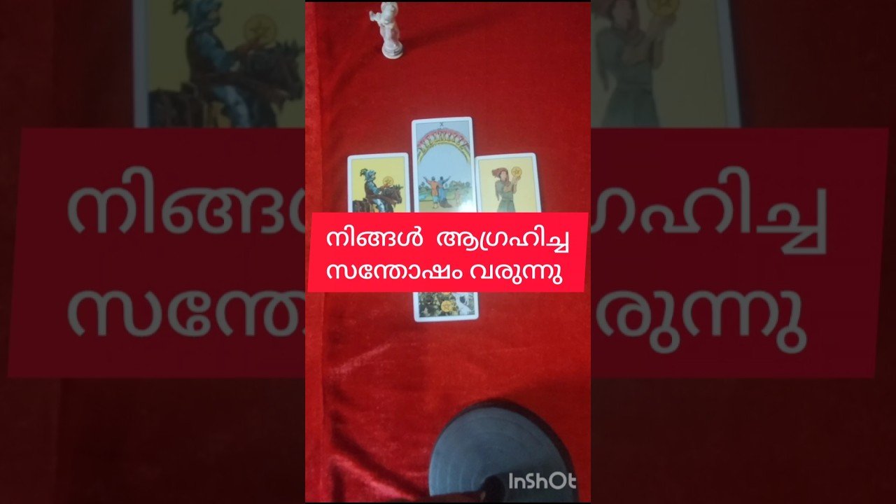 No momento, você está visualizando ആഗ്രഹിച്ച സന്തോഷം വരുന്നു #tarot #shortsfeed #shortvideo