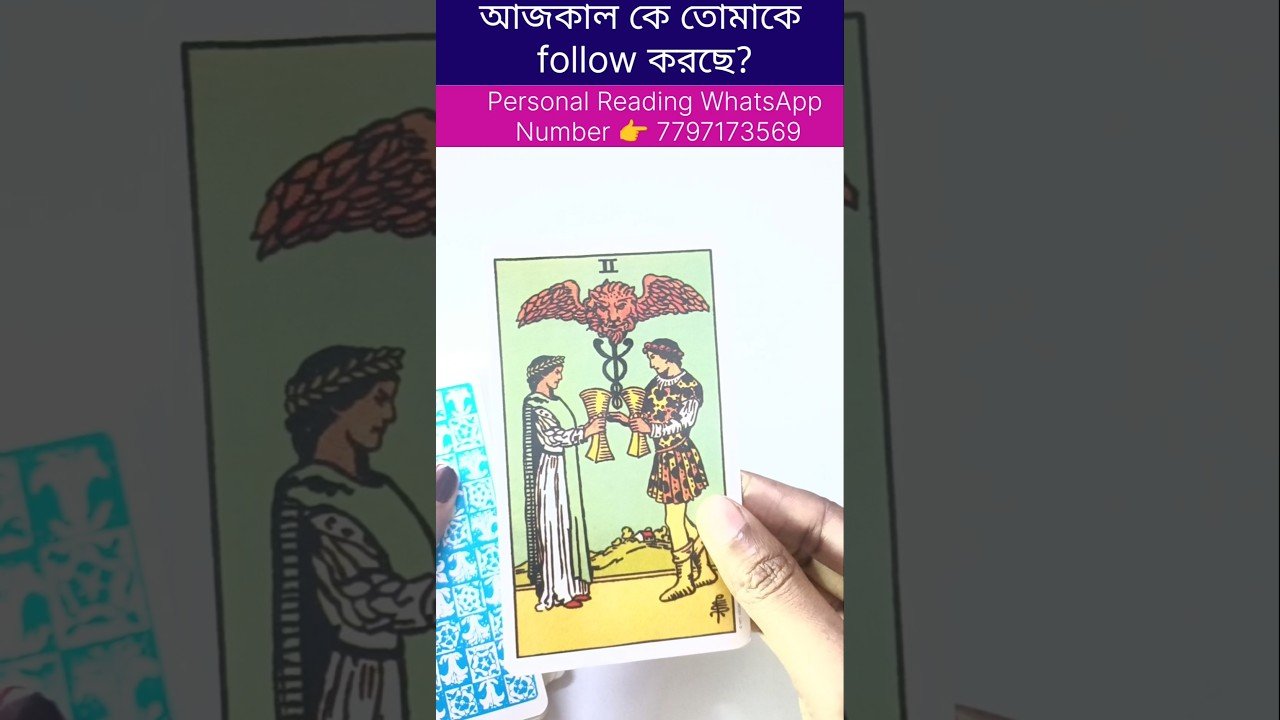 No momento, você está visualizando আজ কাল কে তোমাকে follow  করছে? #currentfeelings #tarot #bengalitarotreading #reels