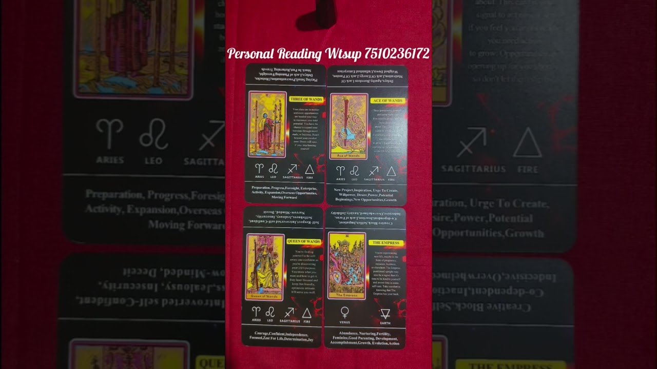 No momento, você está visualizando അവരുടെ മനസ്സിൽ നിങ്ങളുമായുള്ള റിലേഷൻ ഷിപ്പിൽ ഇപ്പോൾ ഉള്ള ചിന്തകൾ ❤️✨