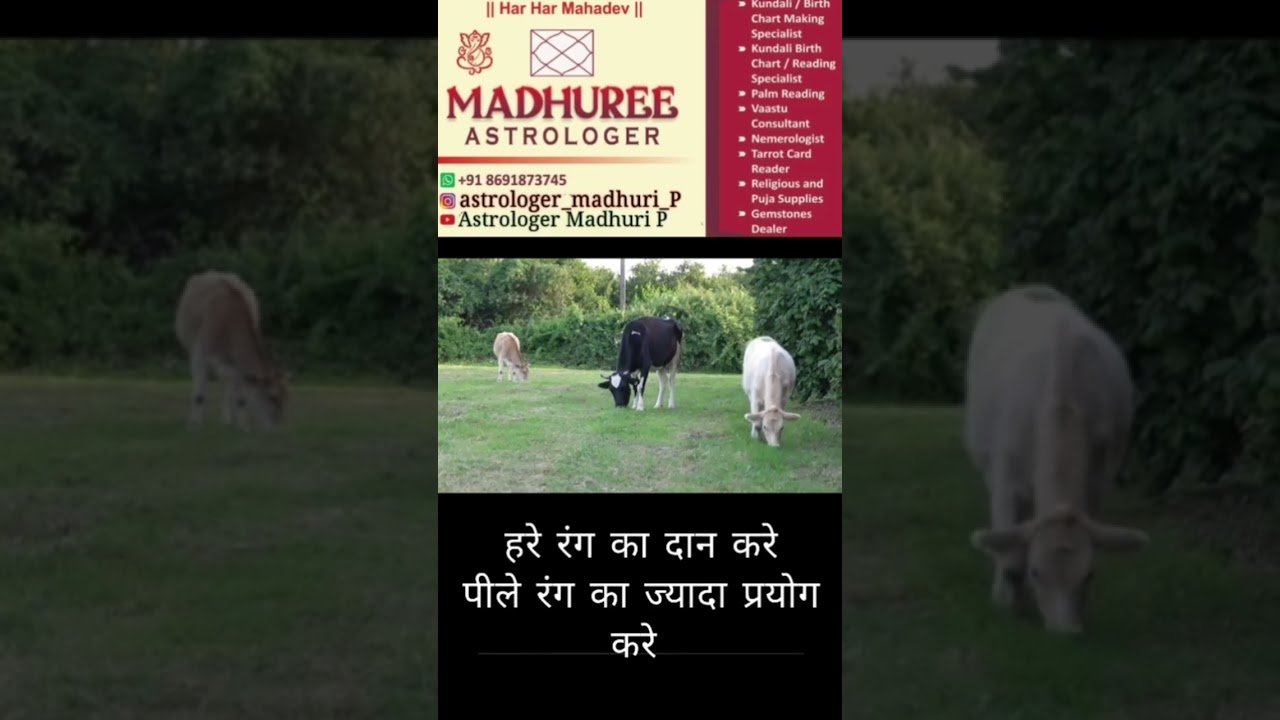 No momento, você está visualizando बुध और राहु की युति का असर आपकी राशि पर #astrology #tarot #कर्क #ज्योतिष #astrologermadhurip #leo