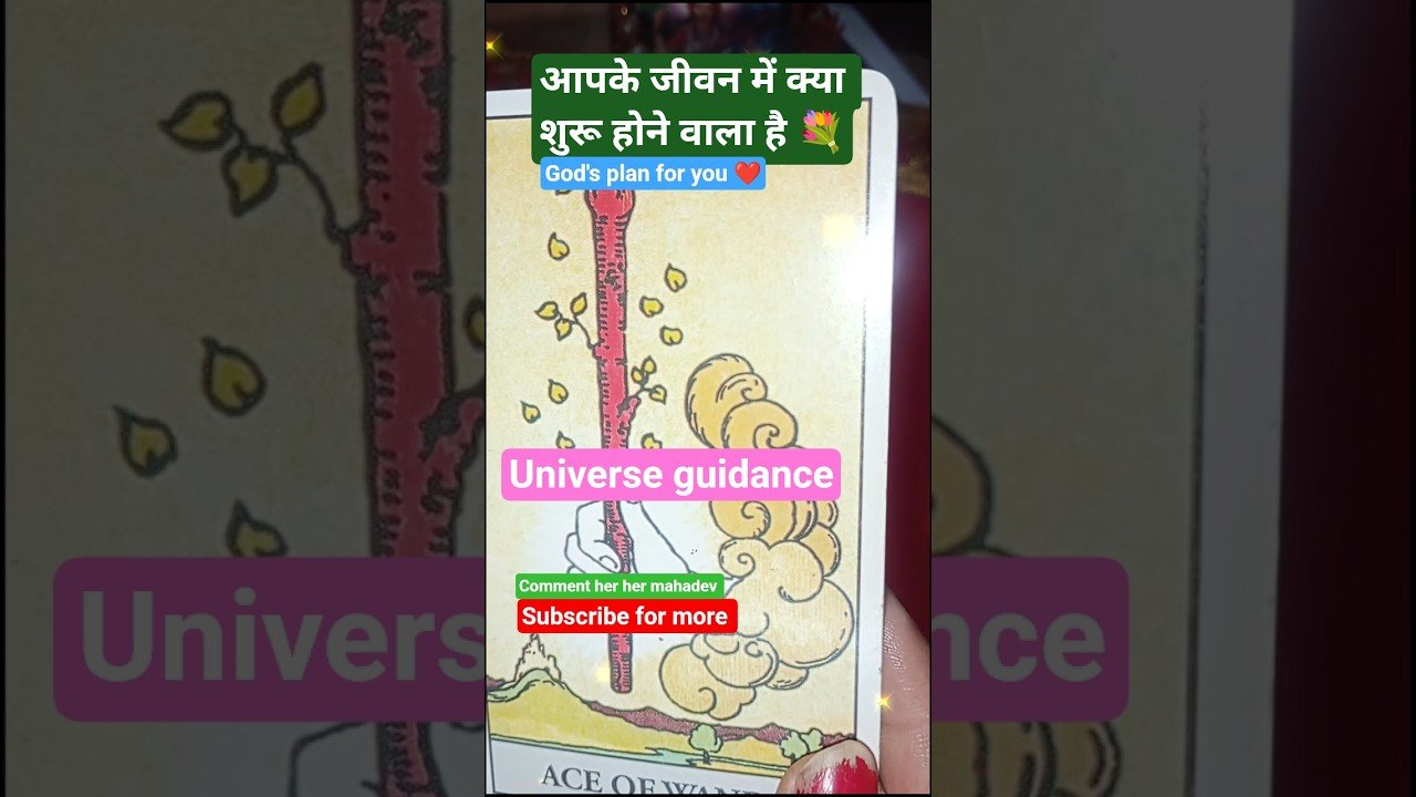 No momento, você está visualizando यूनिवर्स आपको क्या मैसेज देना वालेहैं आज #shorts #viral #tre #Tarot  blessing  with  tarot  Queen 👑