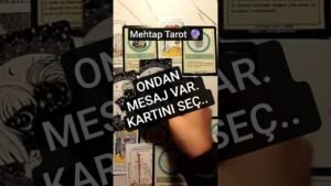 Leia mais sobre o artigo AKLINDAKİ KİŞİDEN MESAJ VAR #tarot #mehtaptarot