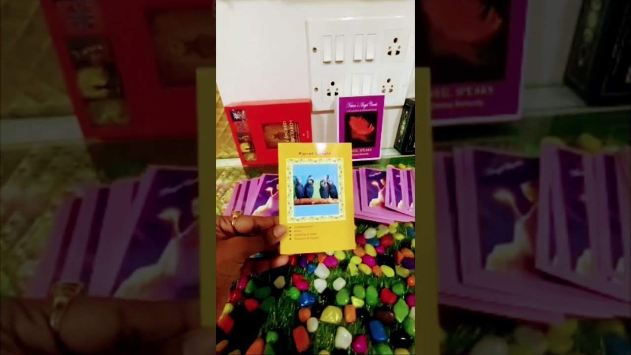No momento, você está visualizando angel guidance message #tarot #shorts