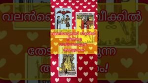 Leia mais sobre o artigo വലൻറ്റൈൻസ് വീക്കിൽ നിങ്ങളെ തേടിയെത്തുന്ന അനുഗ്രഹം!III🥰💙❤️💛💍👩‍❤️‍👨#shorts #shortsfeed #tarot #love