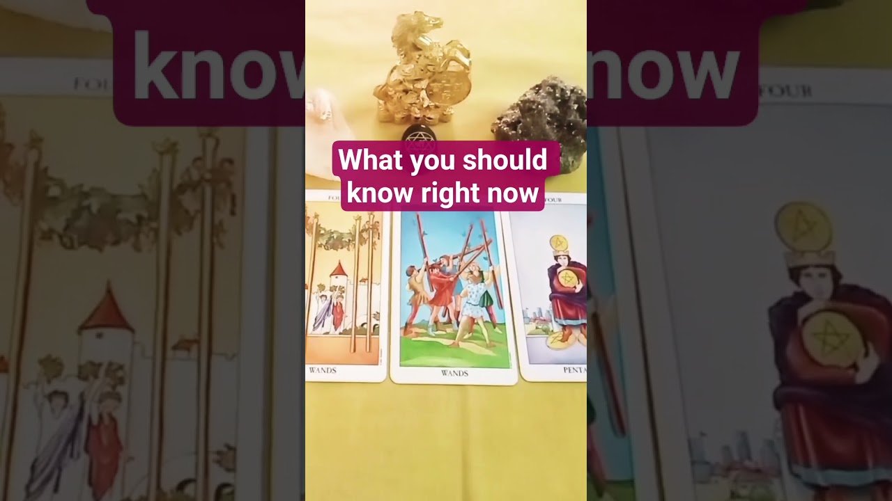 No momento, você está visualizando എന്താണ് പ്രേക്ഷകർ ഇപ്പോൾ അറിയേണ്ടത് #shorts #ytshorts #tarot #guidance