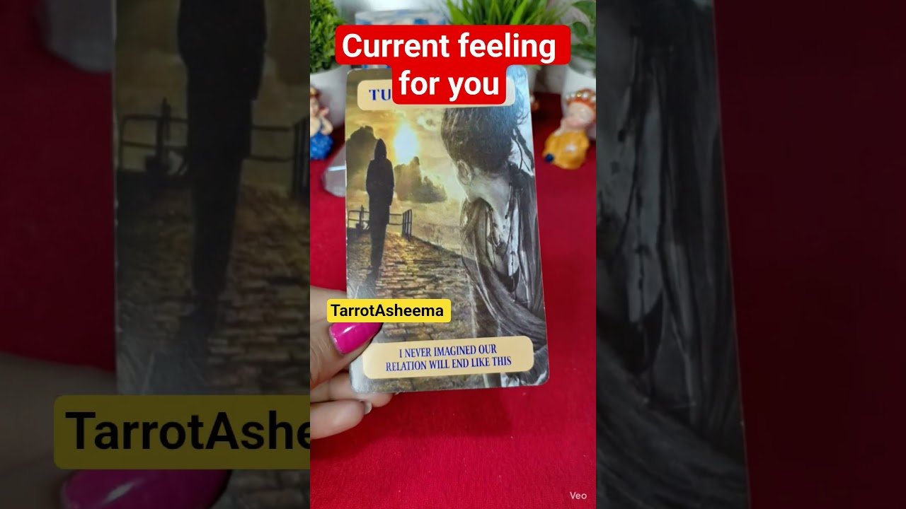 No momento, você está visualizando Current feeling for you 🥹💖#tarot #love #feelings #collective #timeless #shorts ##viral #trending