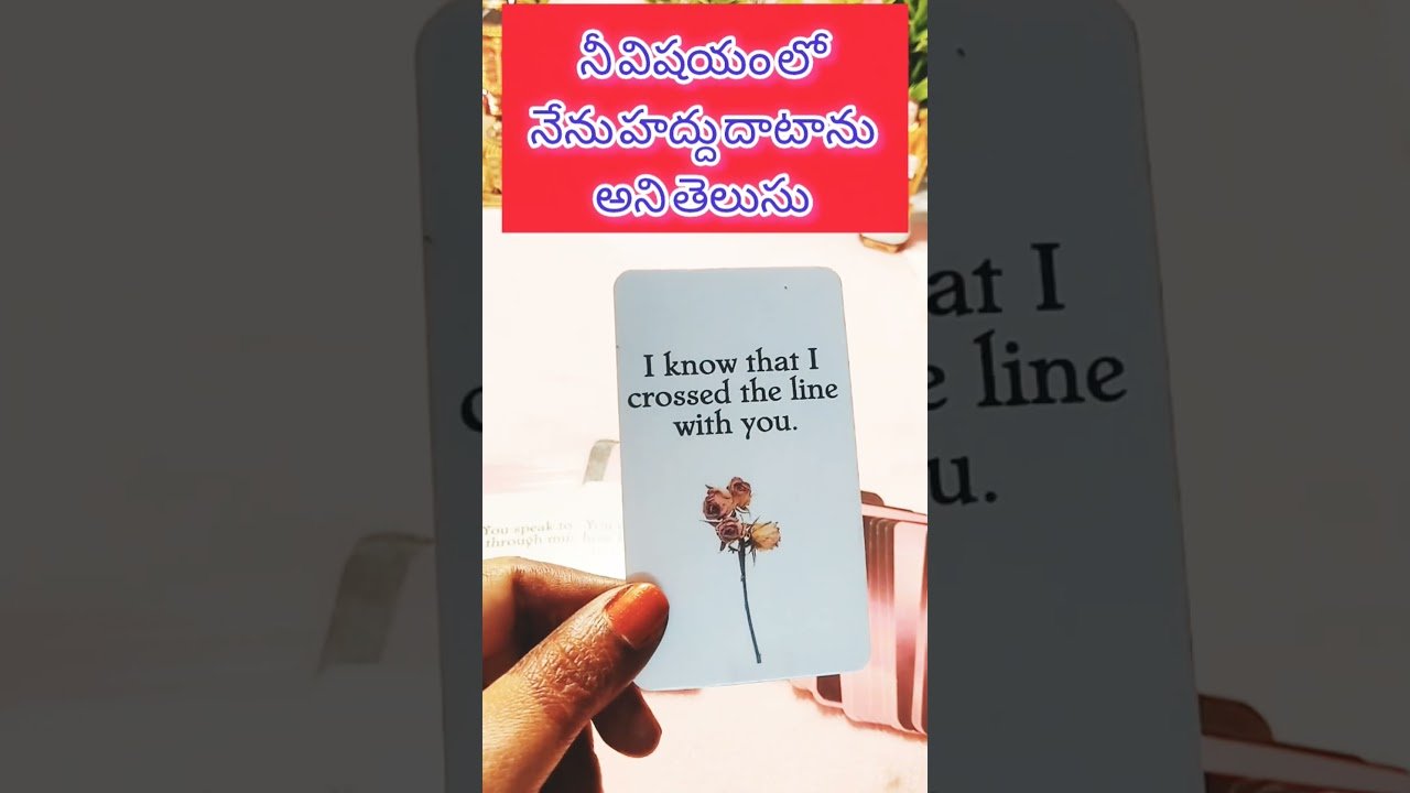 No momento, você está visualizando CURRENT FEELINGS OF YOUR PARTNER #viral #tarot #love #tarotreading