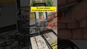 Leia mais sobre o artigo current feelings of your person 💕 #currentfeelings #currentfeelingstarothindi #tarot #tarotreading