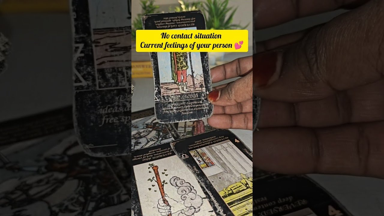No momento, você está visualizando current feelings of your person 💕 #currentfeelings #currentfeelingstarothindi #tarot #tarotreading