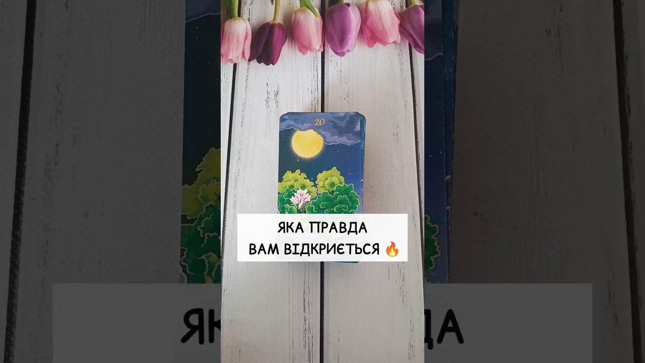 No momento, você está visualizando Яка Правда Вам відкриється 🔥 таро розклад #shorts  #tarot  #таро