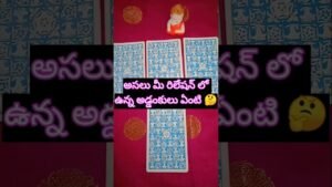 Leia mais sobre o artigo 💯❤️అసలు మీ రిలేషన్ లో ఉన్న అడ్డంకులు ఏంటి 🤔#tarot #tarotreadingintelugu #pickacardreading
