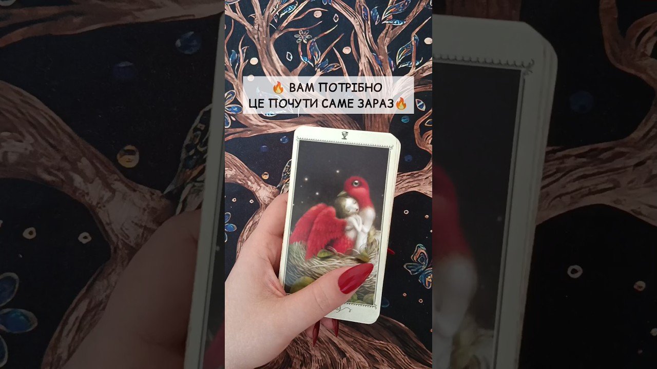 No momento, você está visualizando 🔥 Вам потрібно це почути саме зараз🔥 таро розклад #shorts  #tarot  #таро