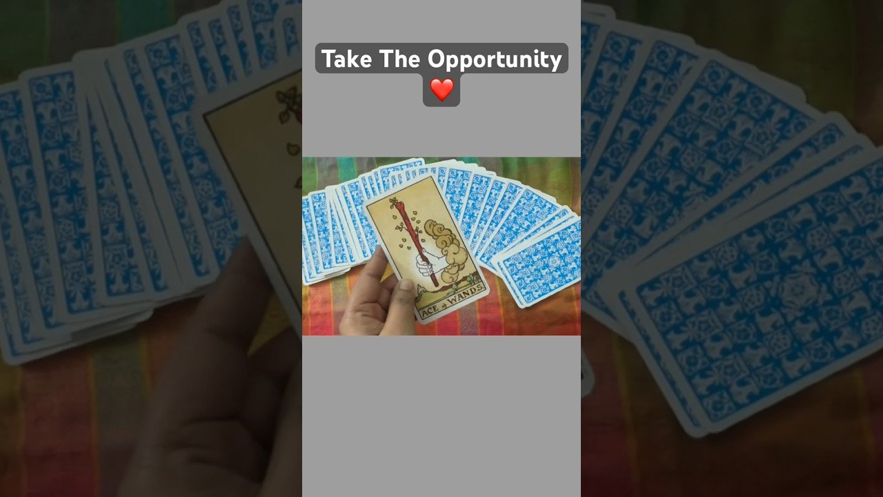 No momento, você está visualizando Don’t Miss The Opportunity ❤️ #tarot #lifeisbutadream #tarotreading #angles#love#universe